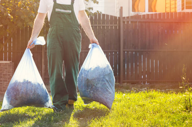 Best Electronics and E-Waste Disposal  in Ceresco, NE